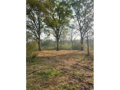 (private lake, pond, coastal) Acreage For Sale in Poplarville Mississippi