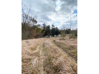 This listing is a little piece of paradise in Poplarville. It's - photo 3