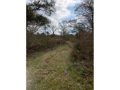 This listing is a little piece of paradise in Poplarville. It's - photo 4