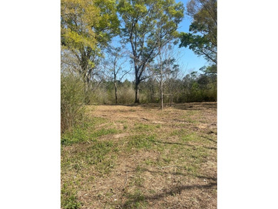 This listing is a little piece of paradise in Poplarville. It's - photo 5