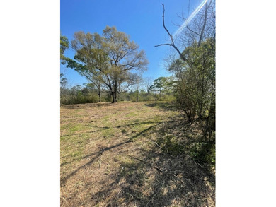 This listing is a little piece of paradise in Poplarville. It's - photo 6