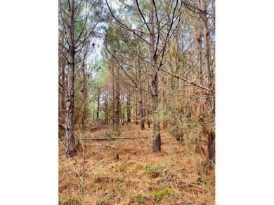 This listing is a little piece of paradise in Poplarville. It's - photo 7