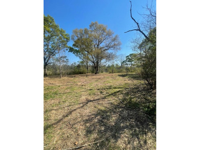 This listing is a little piece of paradise in Poplarville. It's - photo 8