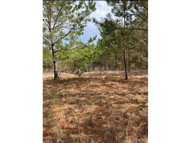 This listing is a little piece of paradise in Poplarville. It's - photo 9