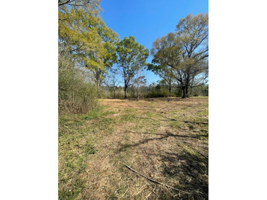 This listing is a little piece of paradise in Poplarville. It's - photo 10