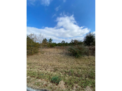 Are you looking for a place to build a small farm? This listing - photo 1