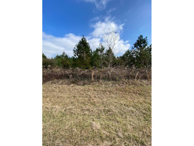 Are you looking for a place to build a small farm? This listing - photo 2