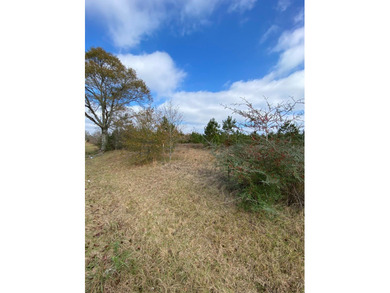 Are you looking for a place to build a small farm? This listing - photo 4