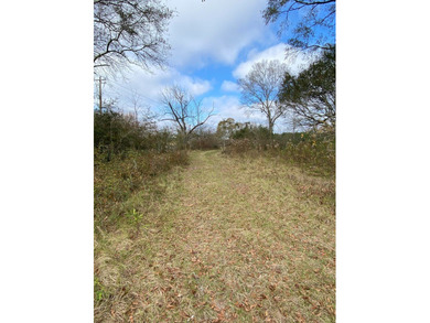 Are you looking for a place to build a small farm? This listing - photo 5