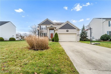 Lake Home For Sale in Olmsted Twp, Ohio