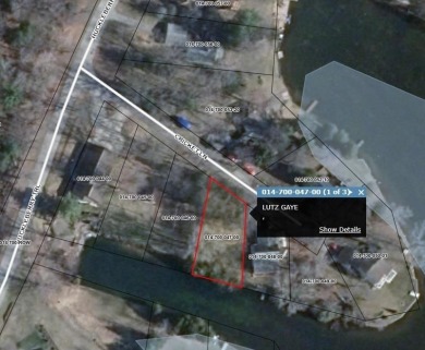 Surry Lake Lot For Sale in Farwell Michigan