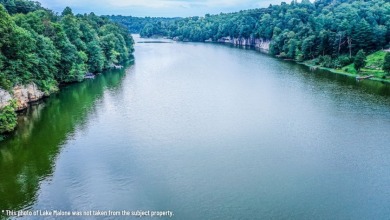 Lakefront Building Lot in Canyon Run on Lake Malone - photo 9