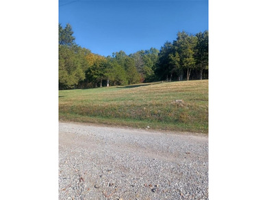 Lake Acreage For Sale in Perryville, Missouri