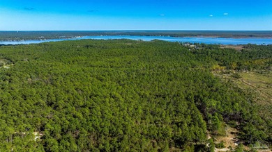Blackwater River Acreage For Sale in Milton Florida