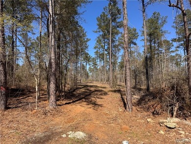 Discover the perfect opportunity with 43 acres featuring 835 - photo 2