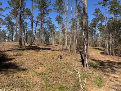 Discover the perfect opportunity with 43 acres featuring 835 - photo 3