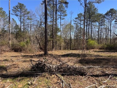 Discover the perfect opportunity with 43 acres featuring 835 - photo 4