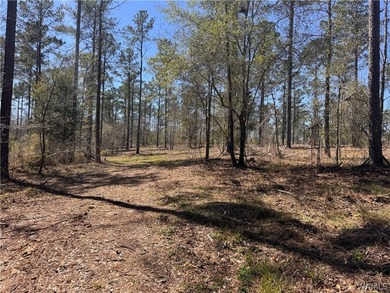 Discover the perfect opportunity with 43 acres featuring 835 - photo 5