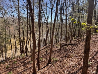 Discover the perfect opportunity with 43 acres featuring 835 - photo 6