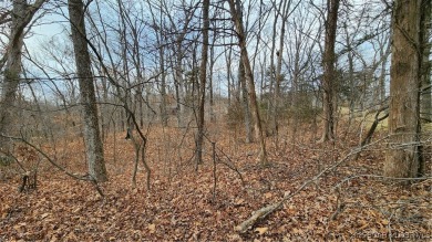 Osage River  Lot For Sale in Lake Ozark Missouri