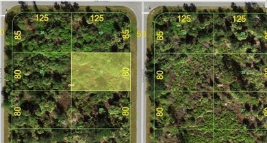 Port Charlotte Waterway Lakes Area Lot For Sale in Port Charlotte Florida
