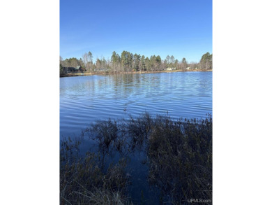 Lake Lot For Sale in Gwinn, Michigan