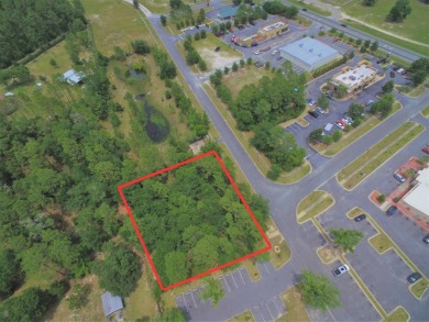 (private lake, pond, creek) Commercial For Sale in Crawfordville Florida