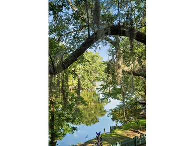 Welcome to 759 Lake Frances Drive--a waterfront retreat where - photo 44