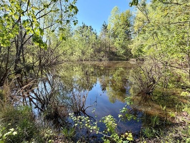 *1386+/- Sq Ft Home *3 Bed/3 Bath *80+/- Acres *Central Heat & - photo 31