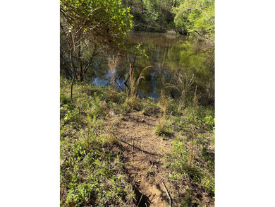 *1386+/- Sq Ft Home *3 Bed/3 Bath *80+/- Acres *Central Heat & - photo 32