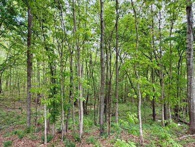 *1386+/- Sq Ft Home *3 Bed/3 Bath *80+/- Acres *Central Heat & - photo 33