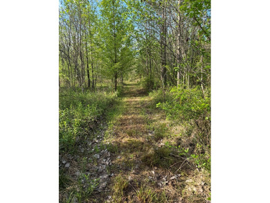 *1386+/- Sq Ft Home *3 Bed/3 Bath *80+/- Acres *Central Heat & - photo 34