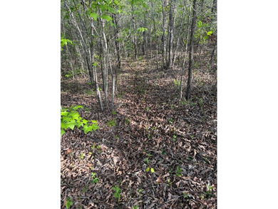 *1386+/- Sq Ft Home *3 Bed/3 Bath *80+/- Acres *Central Heat & - photo 36