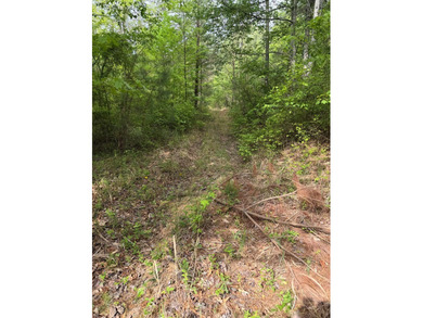 *1386+/- Sq Ft Home *3 Bed/3 Bath *80+/- Acres *Central Heat & - photo 40
