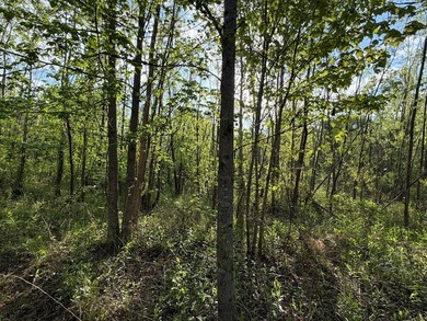 *1386+/- Sq Ft Home *3 Bed/3 Bath *80+/- Acres *Central Heat & - photo 41