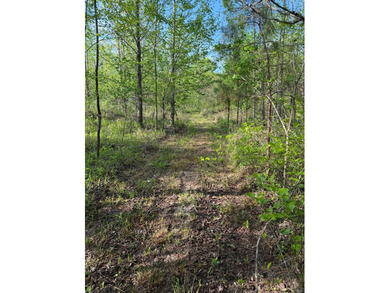 *1386+/- Sq Ft Home *3 Bed/3 Bath *80+/- Acres *Central Heat & - photo 43