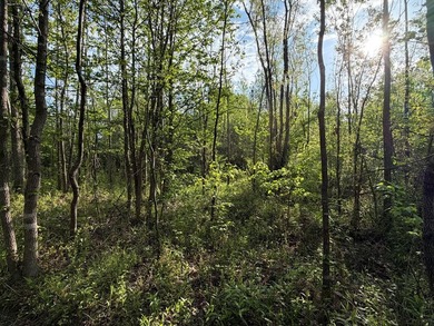 *1386+/- Sq Ft Home *3 Bed/3 Bath *80+/- Acres *Central Heat & - photo 45