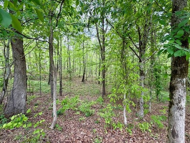 *1386+/- Sq Ft Home *3 Bed/3 Bath *80+/- Acres *Central Heat & - photo 46