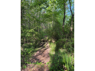 *1386+/- Sq Ft Home *3 Bed/3 Bath *80+/- Acres *Central Heat & - photo 47