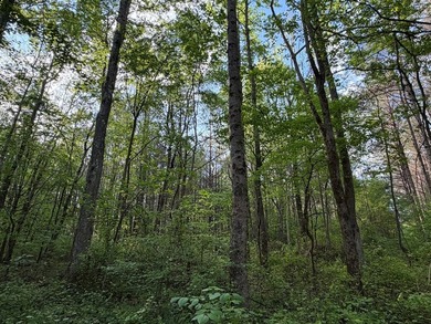 *1386+/- Sq Ft Home *3 Bed/3 Bath *80+/- Acres *Central Heat & - photo 49
