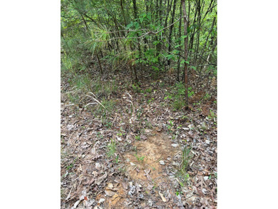 *1386+/- Sq Ft Home *3 Bed/3 Bath *80+/- Acres *Central Heat & - photo 50