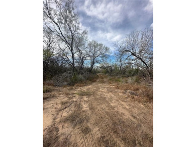 Excellent opportunity to own 17.69 acres with valuable Highway - photo 2