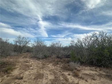 Excellent opportunity to own 17.69 acres with valuable Highway - photo 5