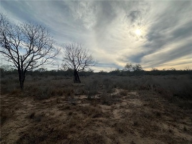 Excellent opportunity to own 17.69 acres with valuable Highway - photo 6