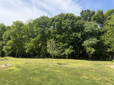 Motivated Seller. $2k Buyer Closing Cost. Lake Front Acreage. - photo 13
