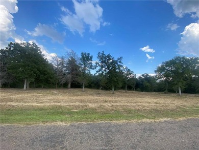 (private lake, pond, creek) Acreage For Sale in Iola Texas