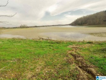 Lake Lot Off Market in Lincoln, Alabama