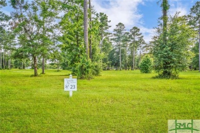  Lot For Sale in Townsend Georgia