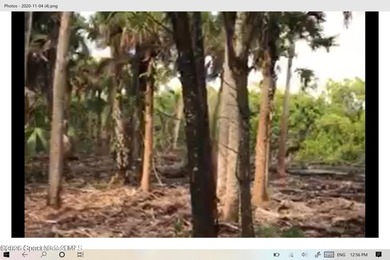 Beautiful wooded 44.39 acres in Merritt Island along the snake - photo 2