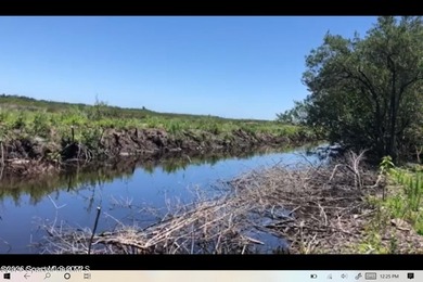 Beautiful wooded 44.39 acres in Merritt Island along the snake - photo 3